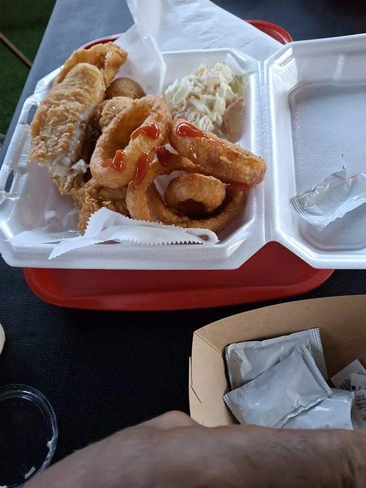 Catfish and Onion Rings